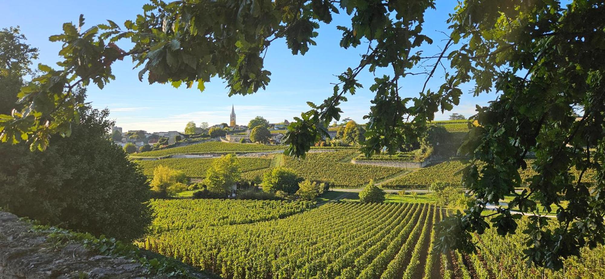 Gite Chateau Touzinat - Σεντ Εμιλιόν Εξωτερικό φωτογραφία